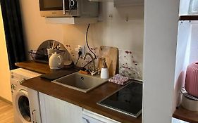 City Centre Apartment Wielopole